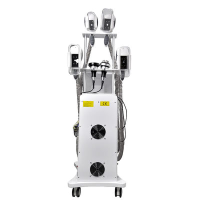 機械800W OEMを細くするの脂肪質の氷結Cryolipolysis