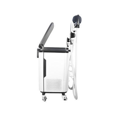 2台1台の Cryoボディ彫刻機械 4に付きEstimuladorの筋肉機械を扱う