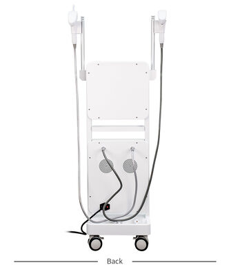 2 in 1 Gold RF Microneedle Invasive Non-Invasive Dual RF for Skin Tightening, Anti-Aging, Acne Scar Stretch Mark Removal