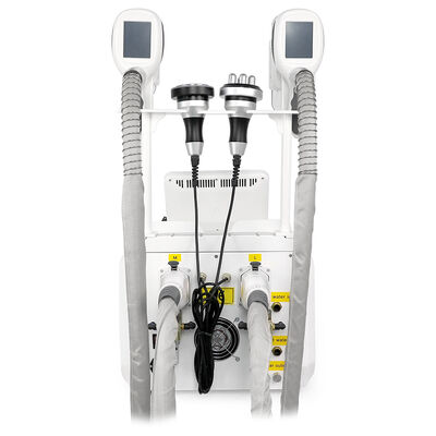 4 in 1 非侵襲性 痛みを伴わない 4 ハンドル 家庭用・商業用 冷凍化粧品 美容器 痩せ 美容器