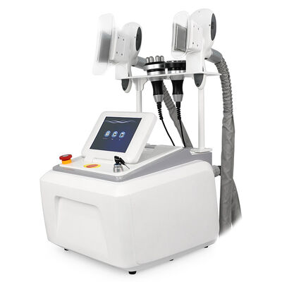 4 in 1 非侵襲性 痛みを伴わない 4 ハンドル 家庭用・商業用 冷凍化粧品 美容器 痩せ 美容器
