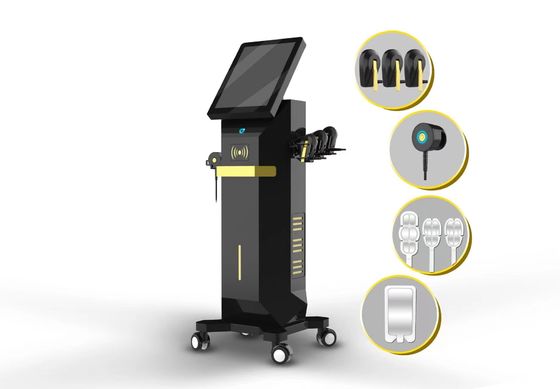 垂直EMRF 顔皮膚の緊縮 表面再現装置 4MHz周波数